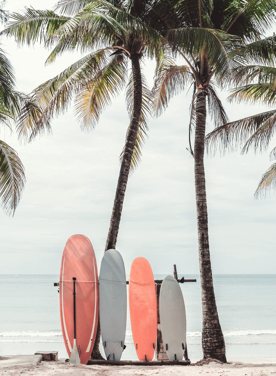 TROPICAL SERENITY SURFBOARDS