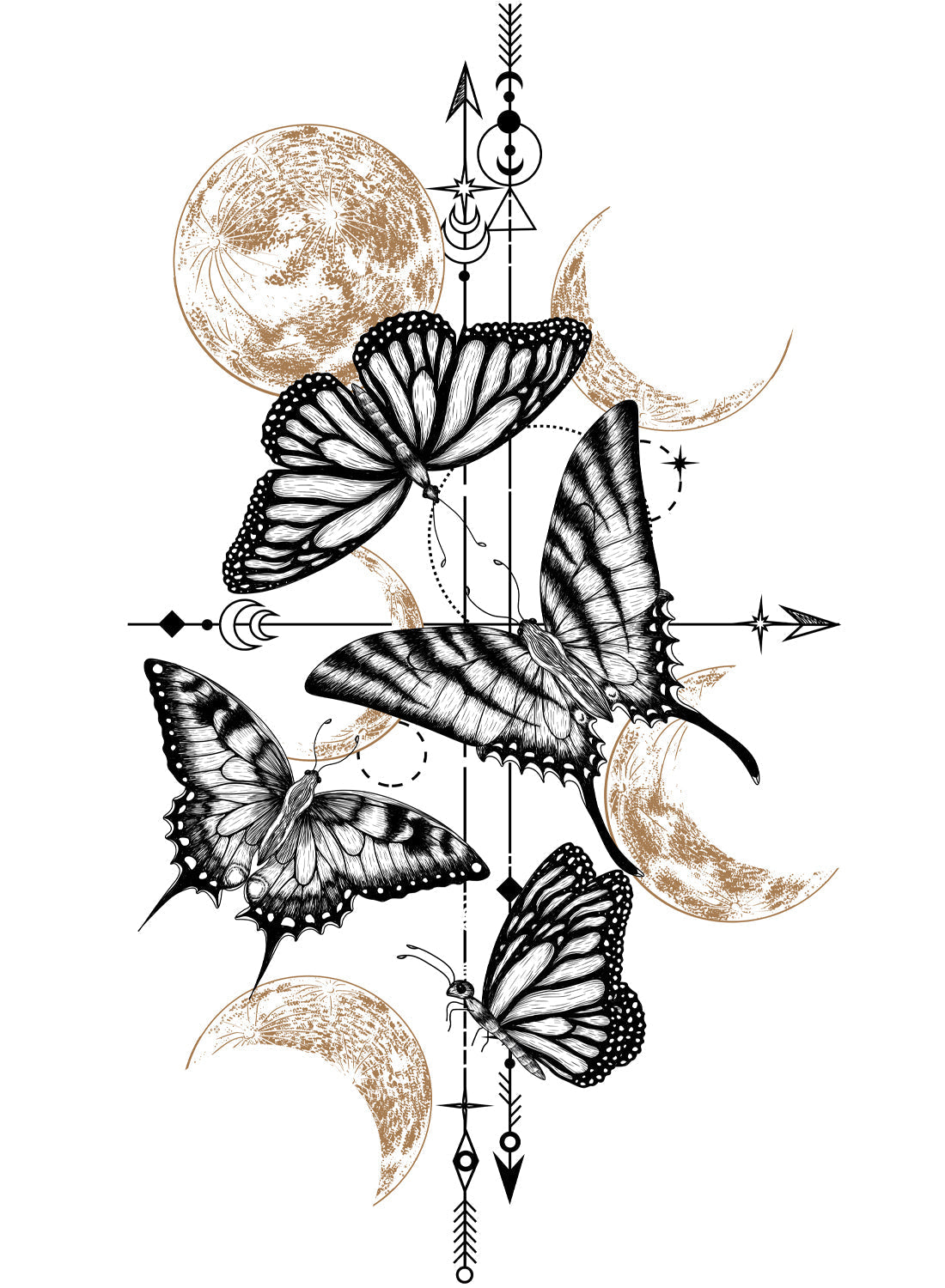 BUTTERFLY AND MOON PHASES
