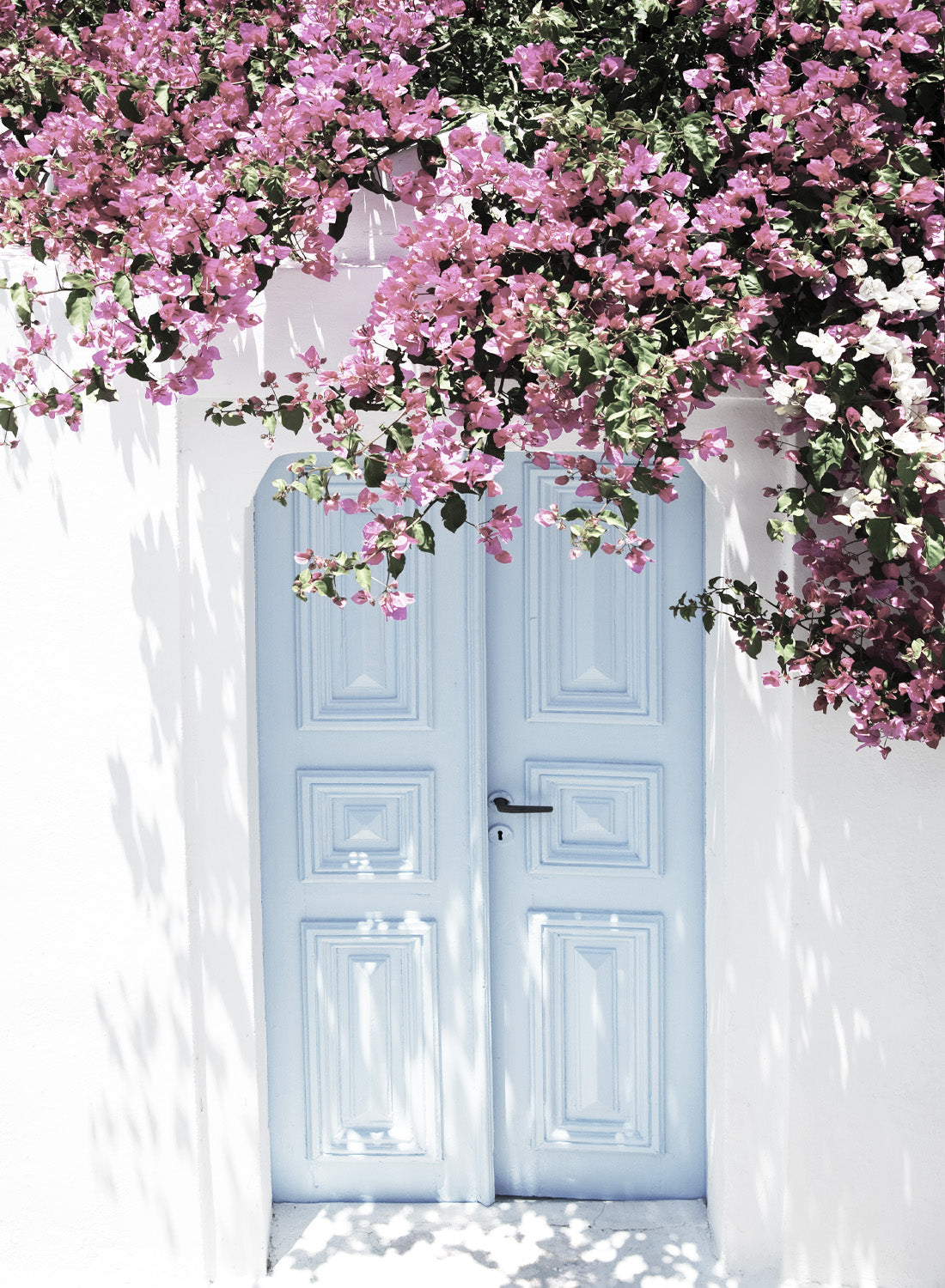 VINTAGE DOOR WITH FLOWERS