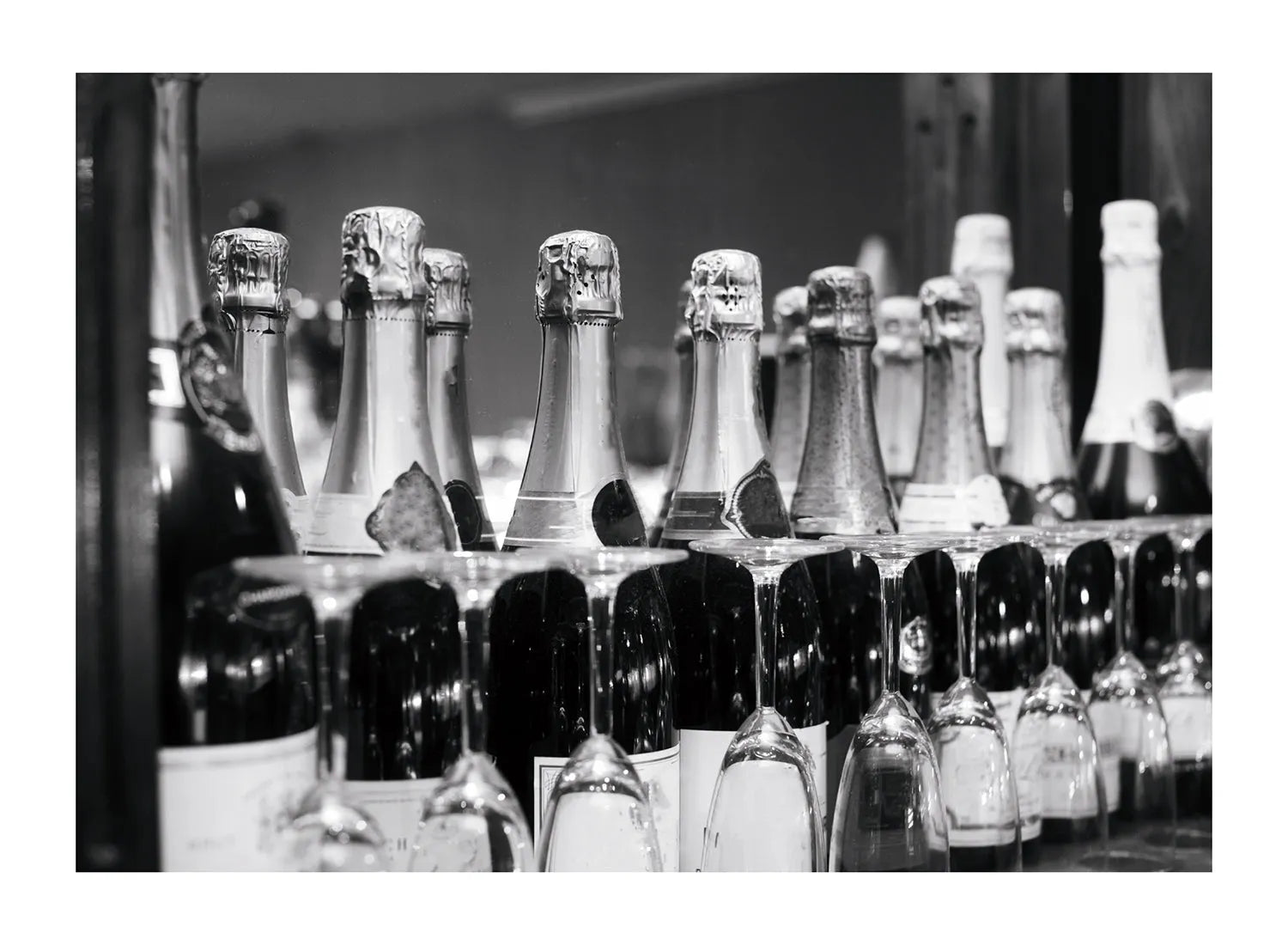 CHAMPAGNE BLACK AND WHITE